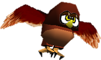 STROOP- Hoot.png