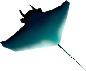 STROOP- Manta Ray.png