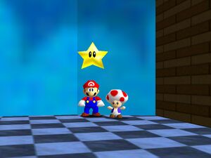 Toad 35.jpg