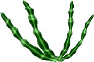 STROOP- Seaweed Bundle.png