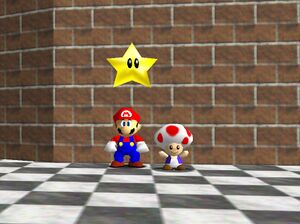 Toad 25.jpg