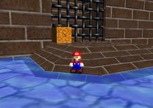 WDWM 1.png