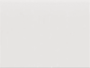 Ssl100 alt cam.gif