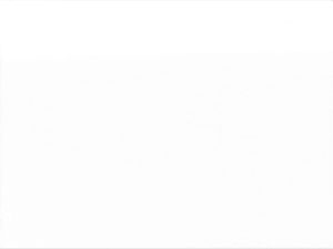 Camera setup ttm100.gif